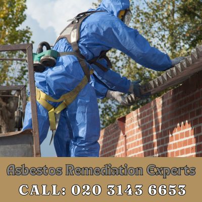 Asbestos Remediation Experts Woolwich