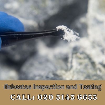 Comprehensive Asbestos Inspection and Testing Services in Woolwich